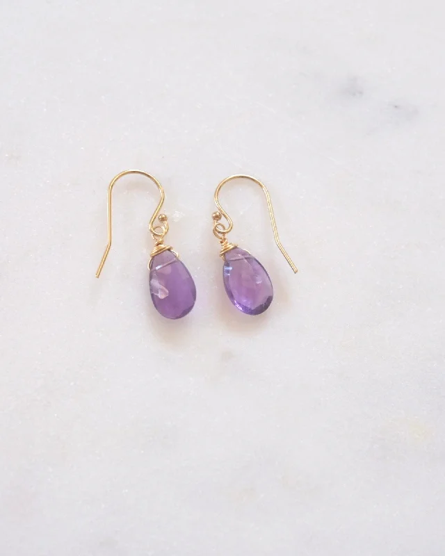 Ladies rings price options-Amethyst Drop Earrings